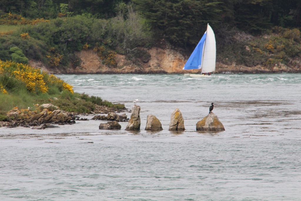 PlougoumelenGDM 899 (Copier).JPG