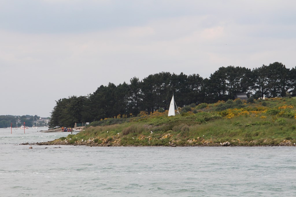 PlougoumelenGDM 905 (Copier).JPG