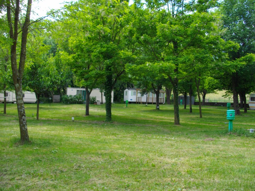 IMGP4124 (Copier).JPG