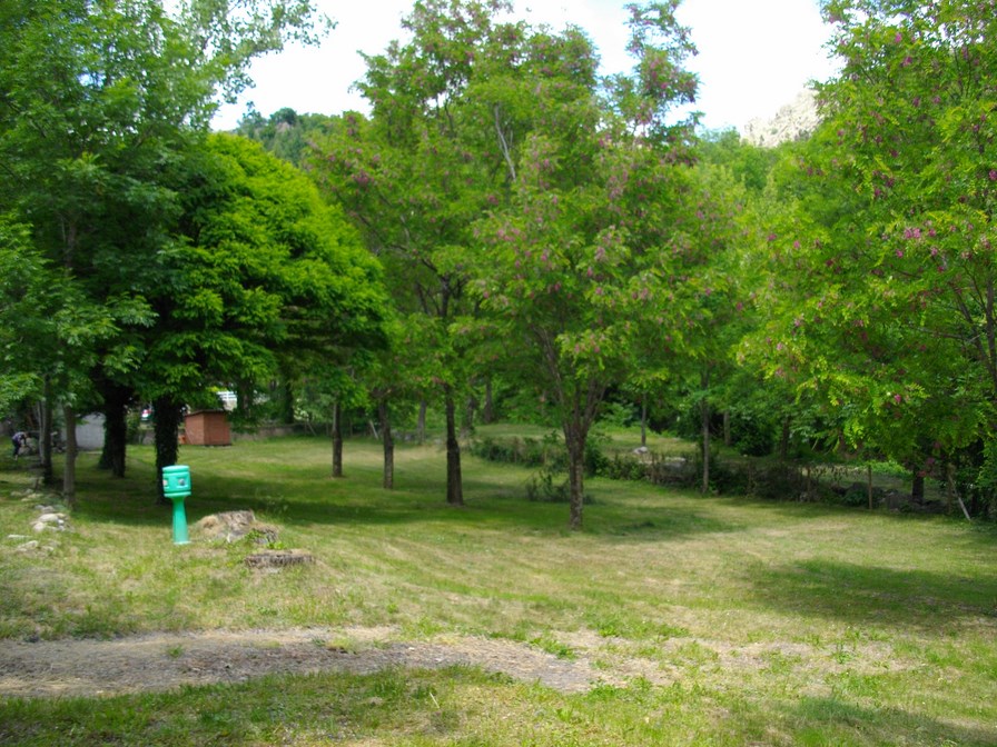 IMGP4127 (Copier).JPG