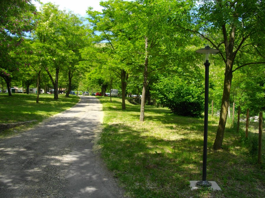 IMGP4136 (Copier).JPG