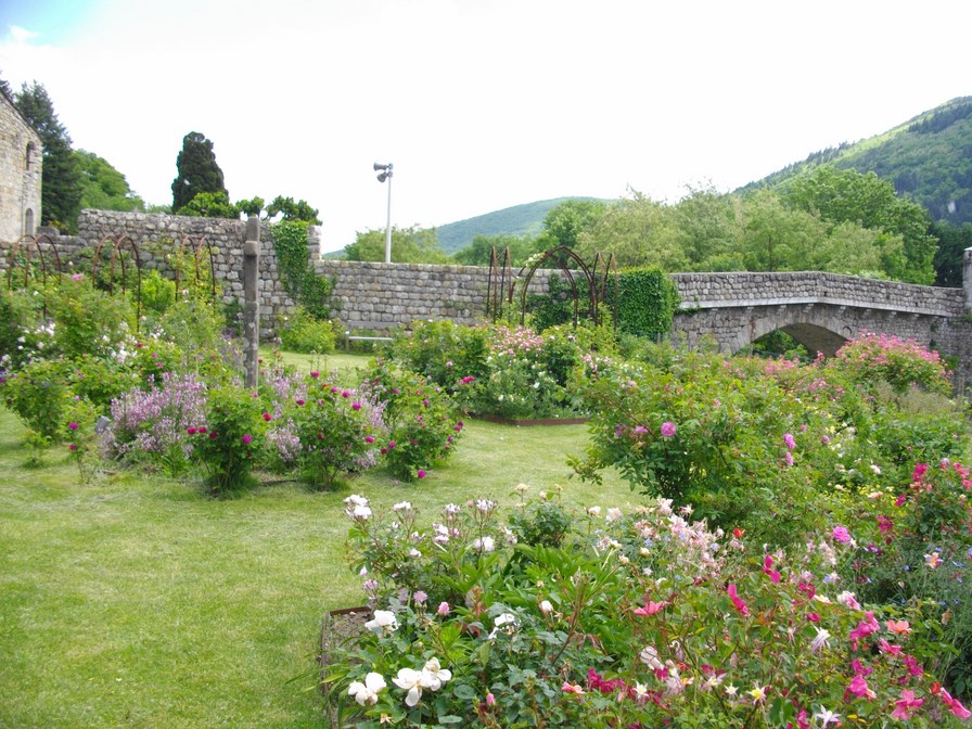 IMGP4151 (Copier).JPG