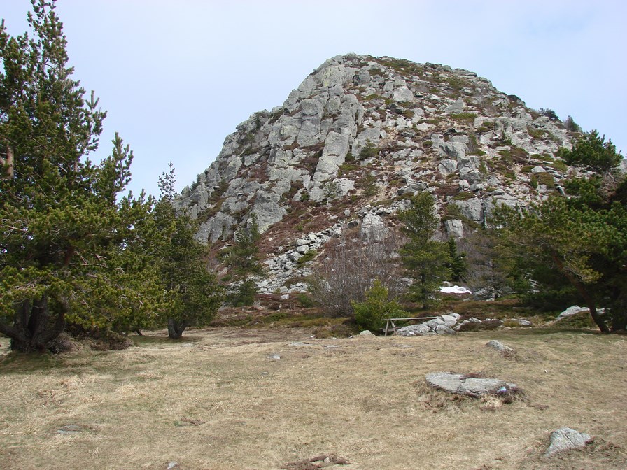 DSC00046 (Copier).JPG