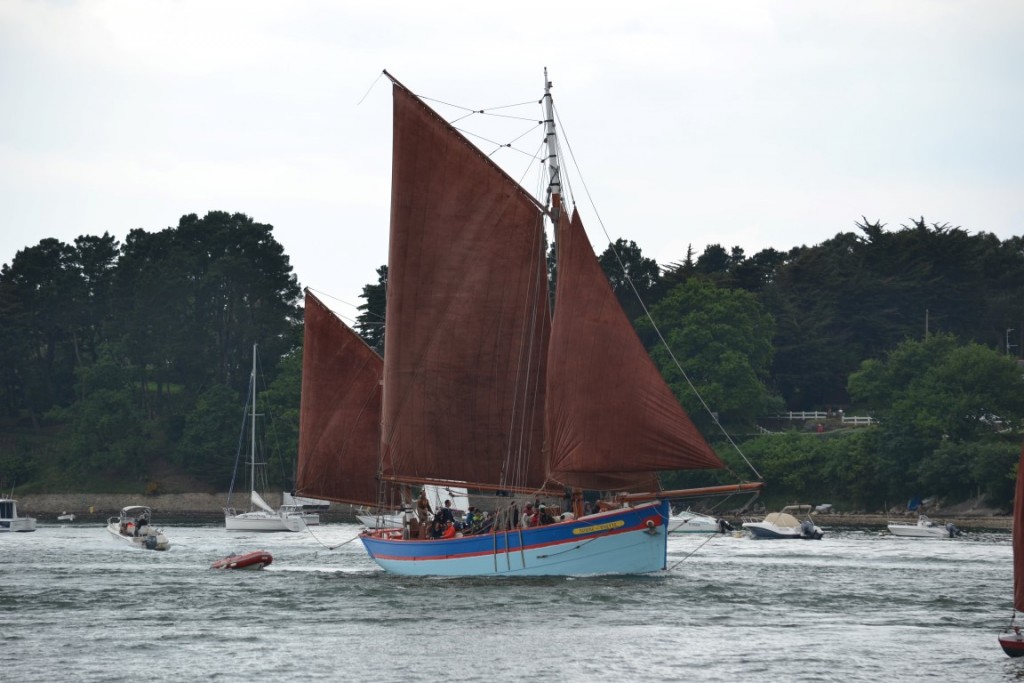 DSC_2238 (Medium).JPG