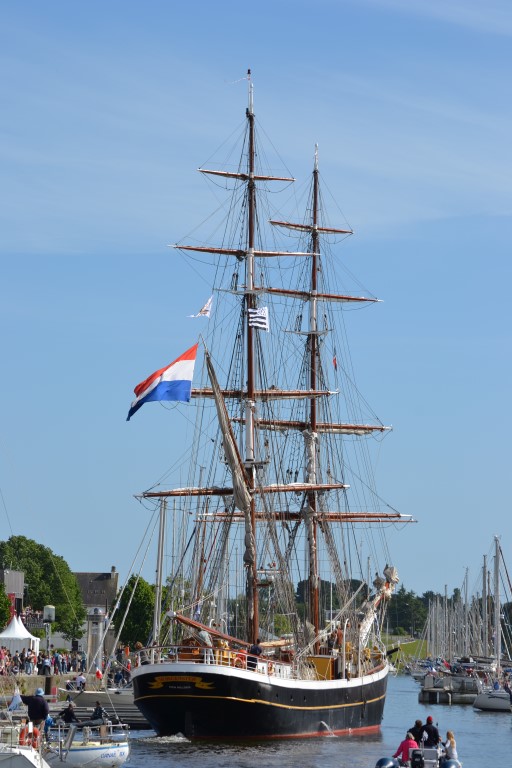 DSC_2433 Morgenster (1) (Medium).JPG