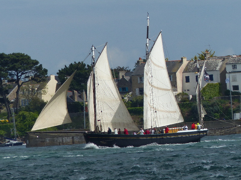 P1040807(1).JPG