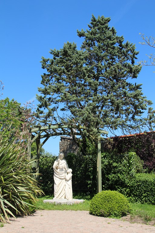 IMG_6843 (Copier).JPG