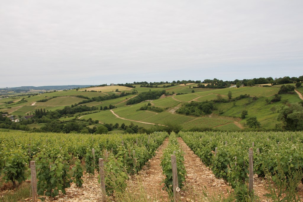 baladegourmande14 044 (Copier).JPG