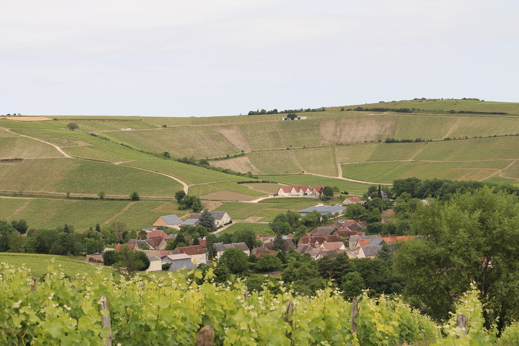 baladegourmande14 064 (Copier).JPG