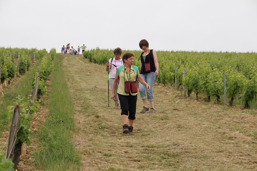 baladegourmande14 072 (Copier).JPG