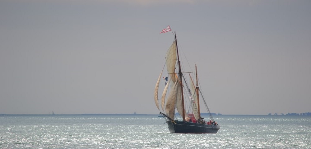 DSC_2321 Bessie Ellen pointillé.JPG