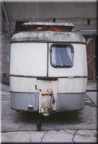 FaunL61_2.JPG