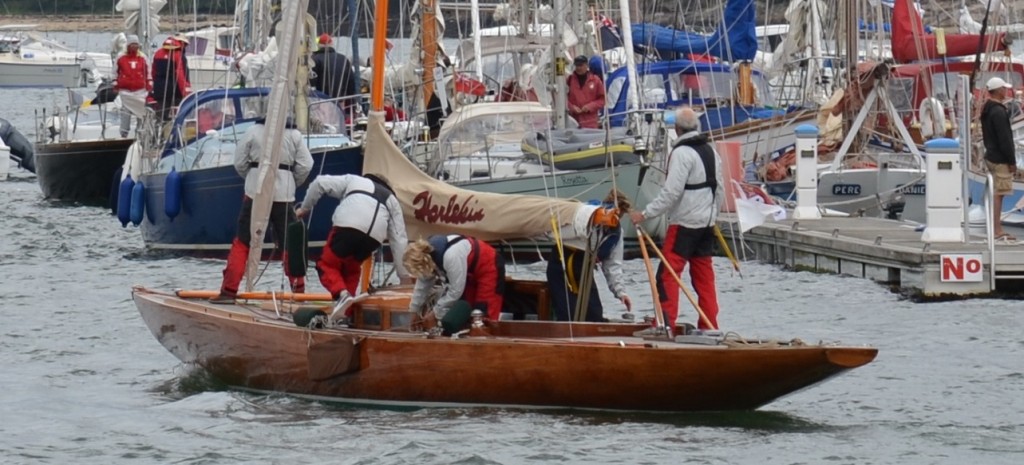 Harlekin détail.jpg