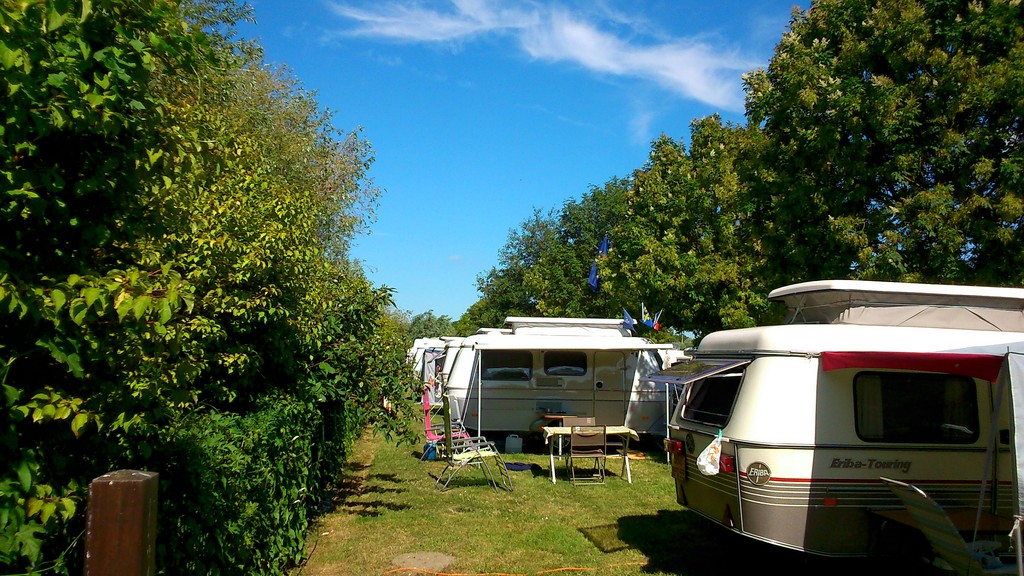 DSC_0723 (Copier).jpg