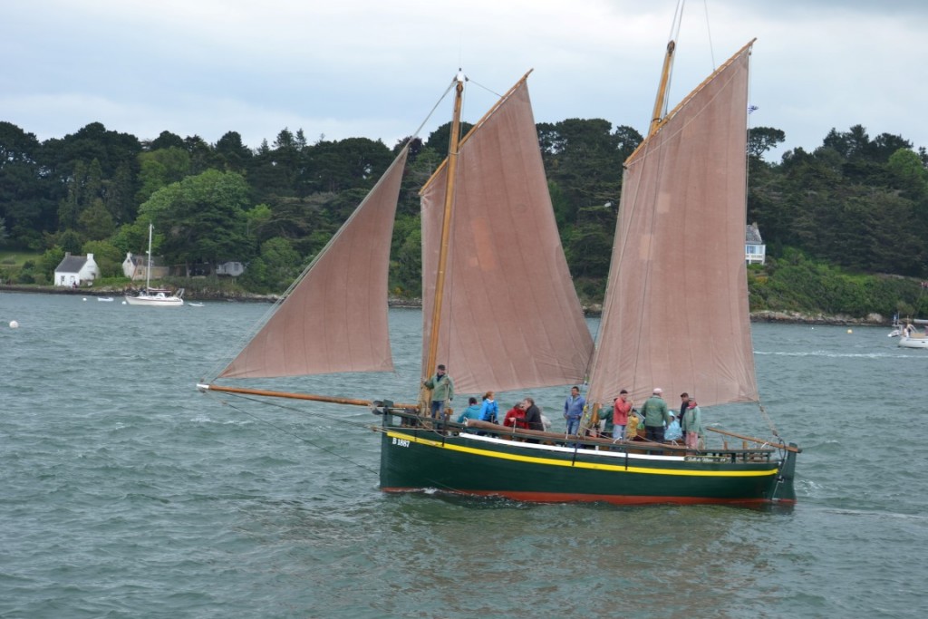 DSC_2253 Belle de Vilaine (Medium).JPG