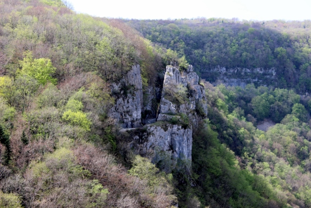 nous quittons la foret de chaux pour le belvédère du cirque a cheval