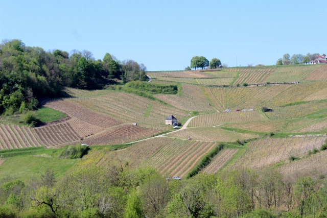 pour monter a château chalon village classé aux plus beaux villages de France <br />très mérite une vue a couper le souffle