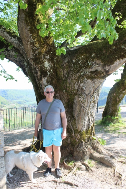 et pour clôturer; je vous salue tous <br />en dessous de cette arbre grandiose.<br />Ou je me sens tout petit .<br /> En espérant de ne pas vous avoir ennuyé .