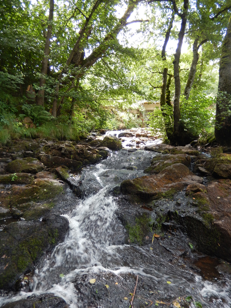 Ruisseau