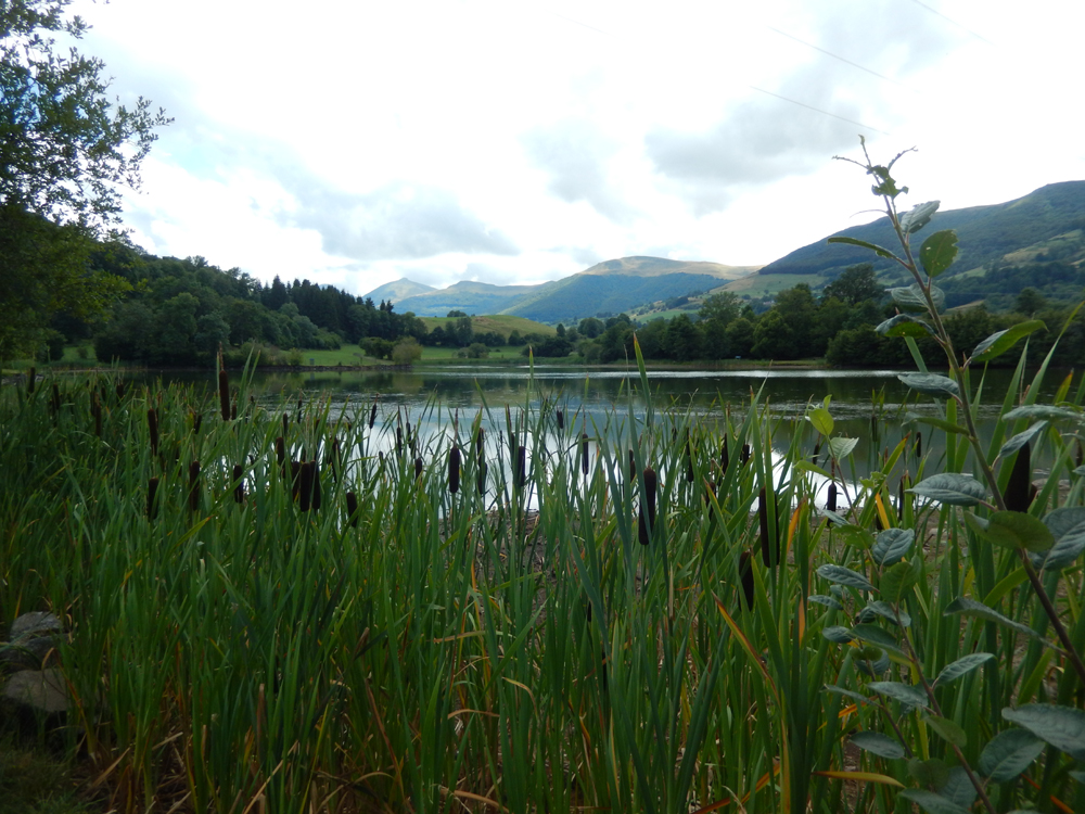 Le lac de Cheylade