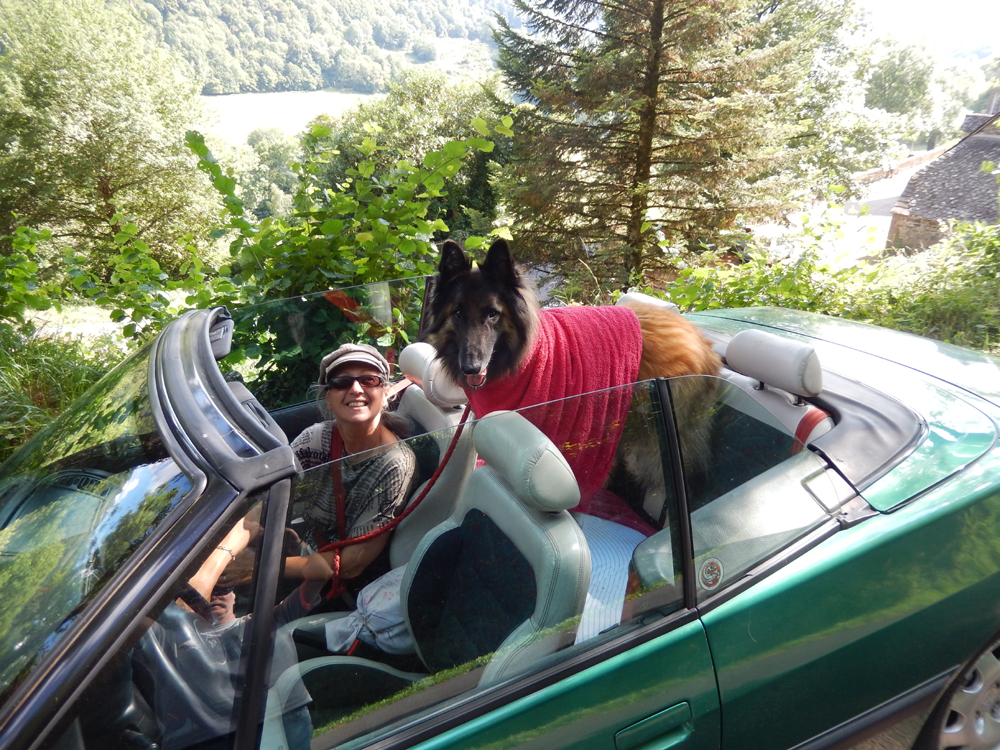 Pour protéger le loup du soleil