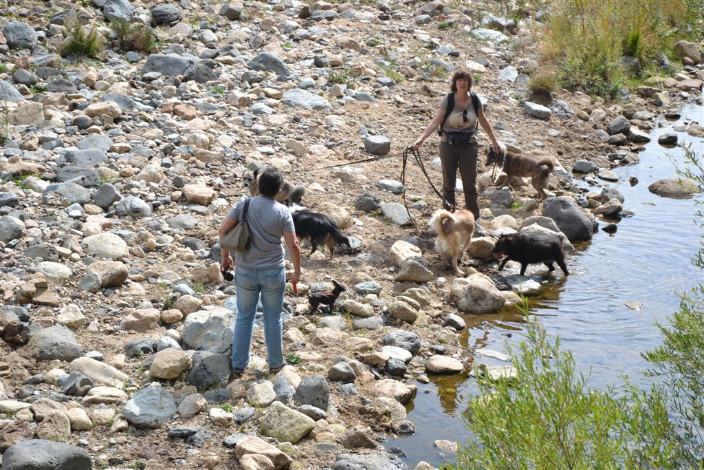 Playa del sol Montpezat sous Bauzon 019 (Large).jpg