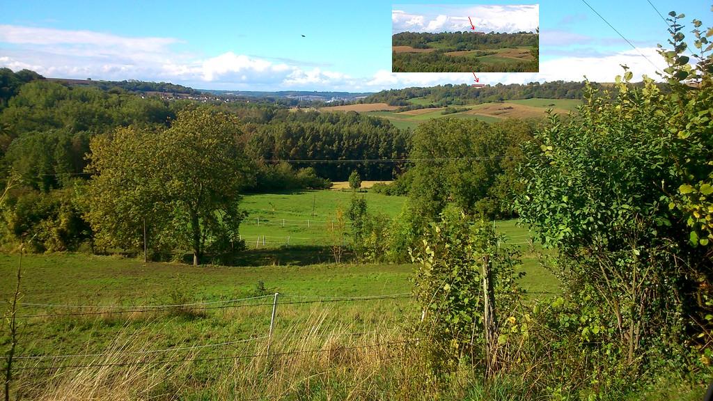 DSC_0887 %28Copier%29.jpg