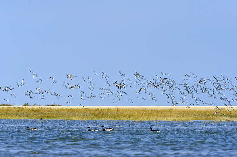 _ESC3684 - Copie.JPG