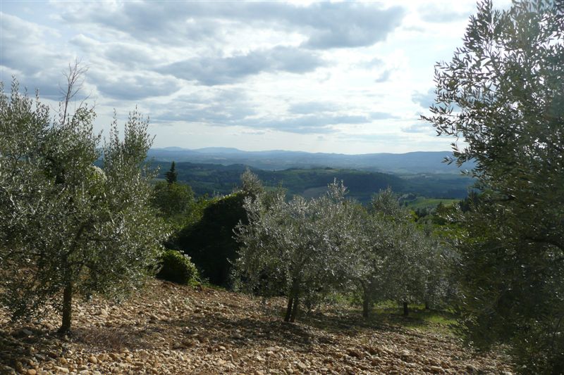 Toscane
