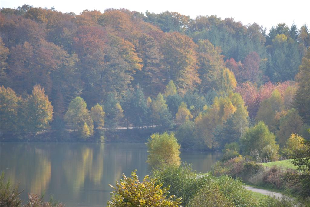Automne Cantal 018 (Large).jpg