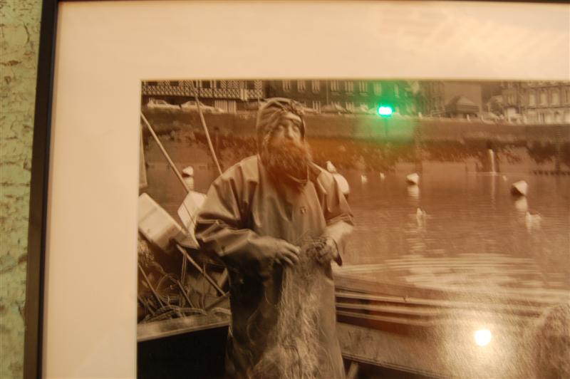 DSC_7831 (Medium).JPG