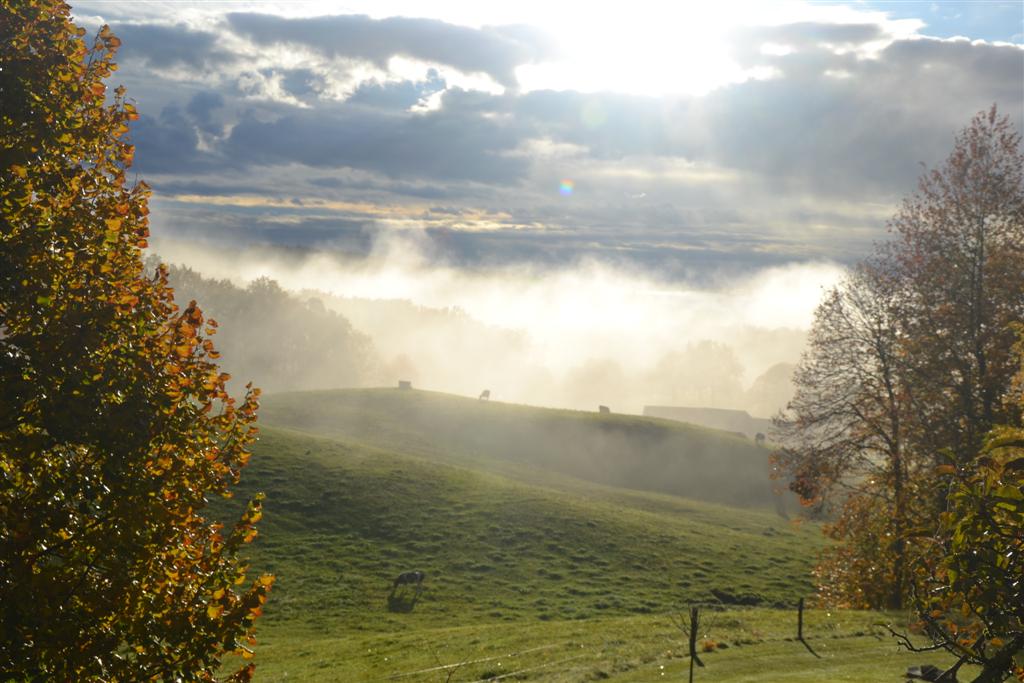 Matin des Magiciens 1(Large).jpg