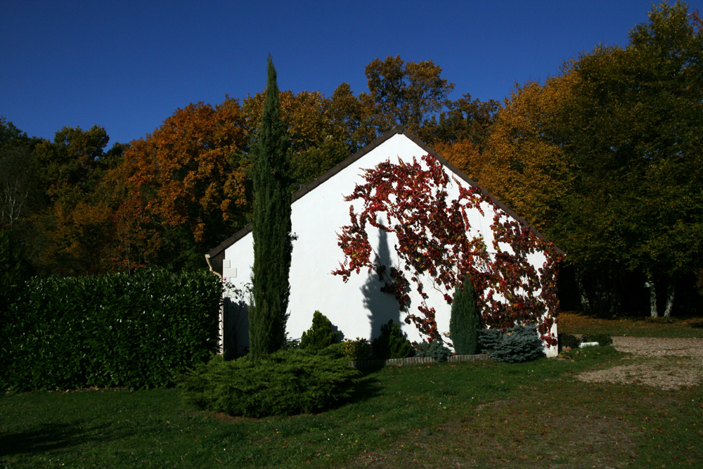 8540.jpg