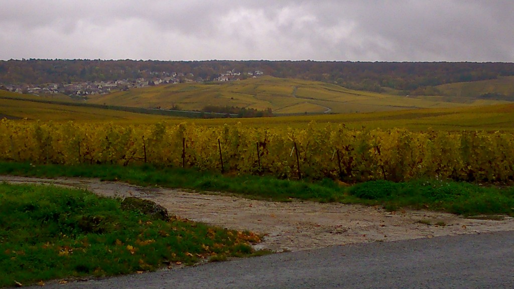 DSC_0922 (Copier).jpg