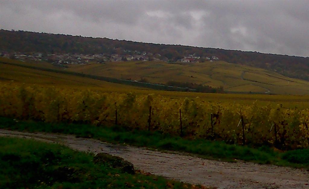 Photo Alain (Large).JPG