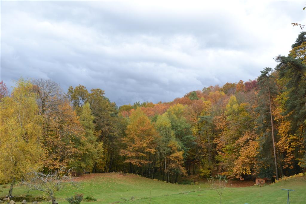 Automne Cantal 084 (Large).jpg