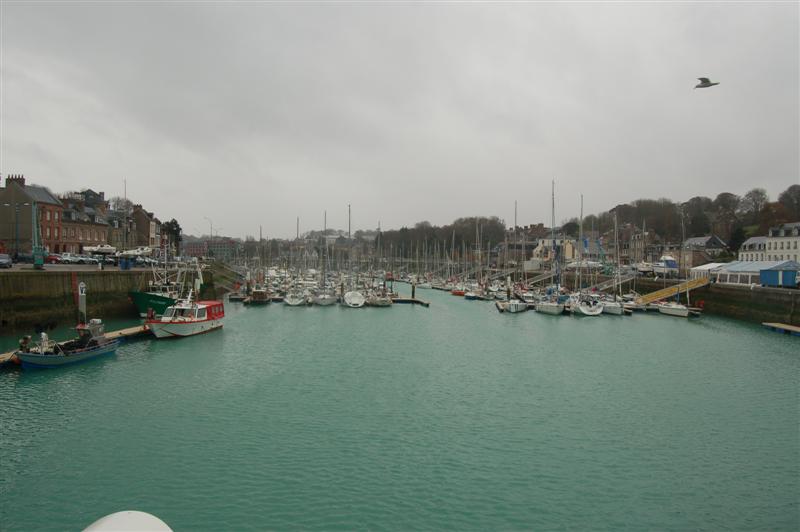 DSC_7873 (Medium).JPG