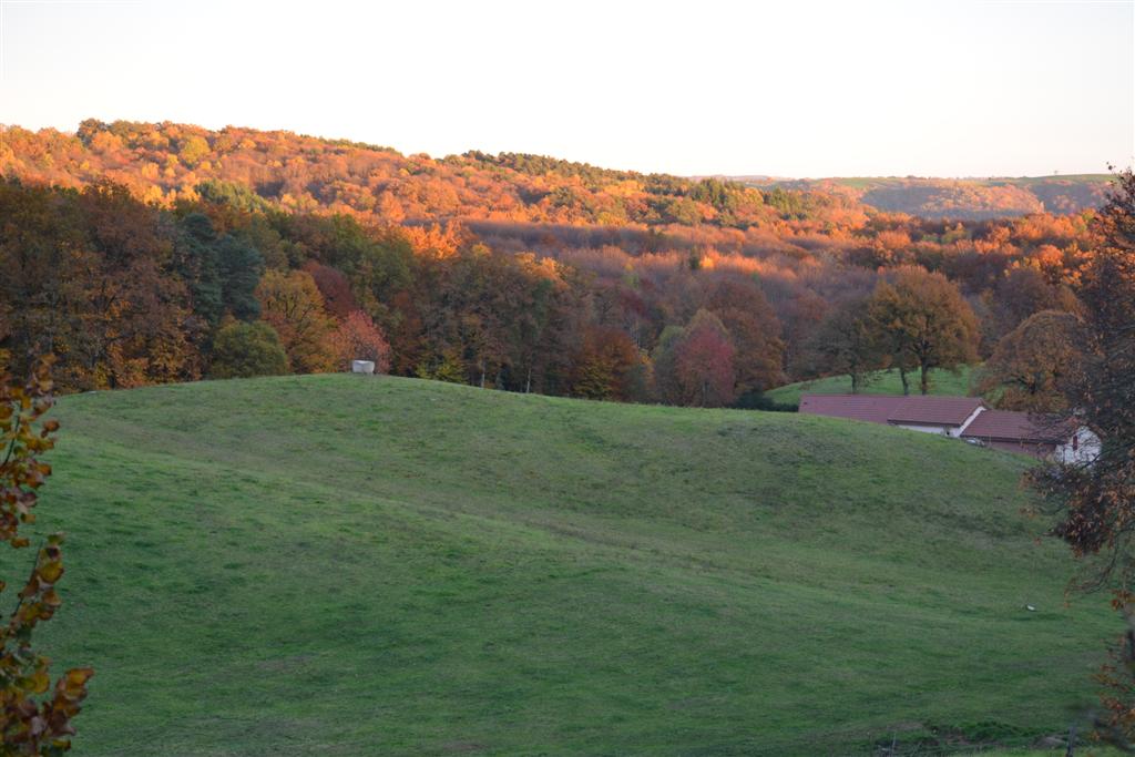 Automne Cantal 091 (Large).jpg
