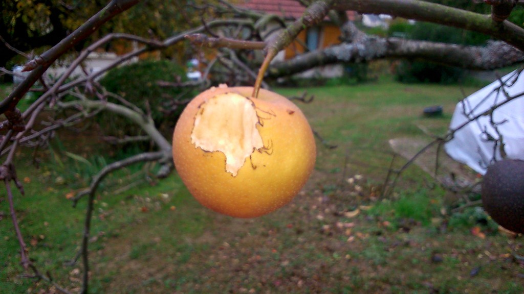 DSC_0939 (Copier).jpg