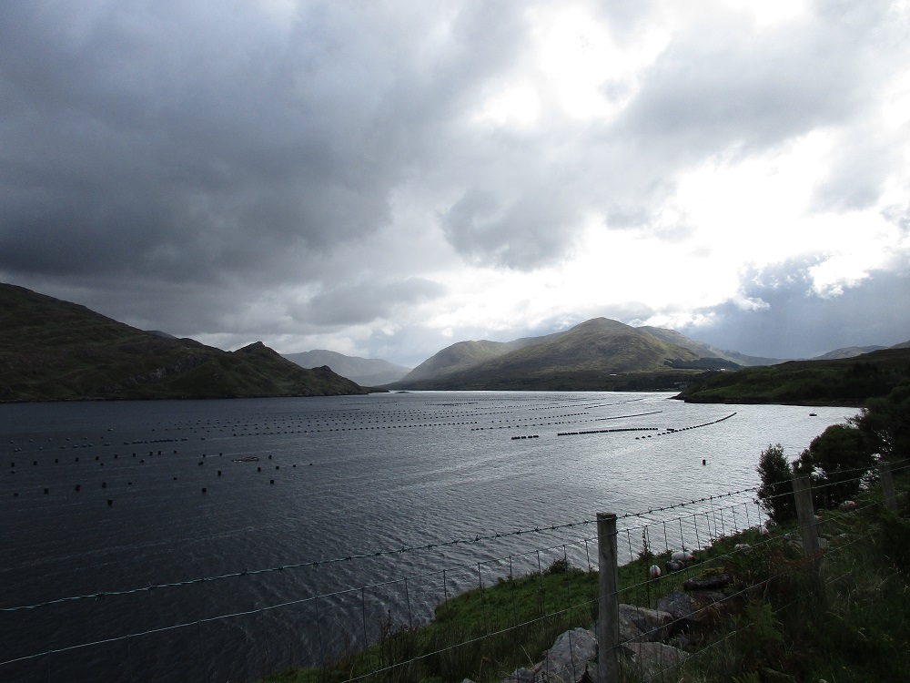SENTIER DE LA FAMINE RANDO DE 16 KM AU BORD DE KILLARY HARBOUR