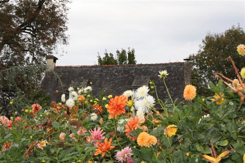 IMG_9079 (Medium).JPG