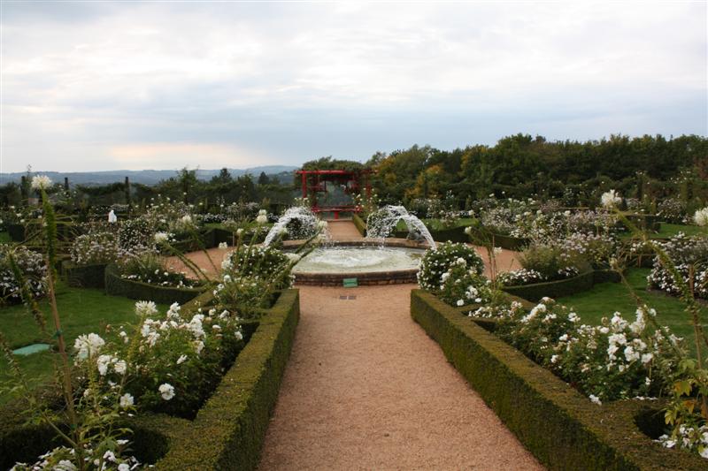 IMG_9088 (Medium).JPG