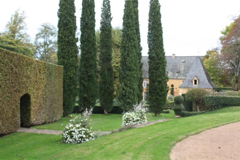 IMG_9089 (Medium).JPG