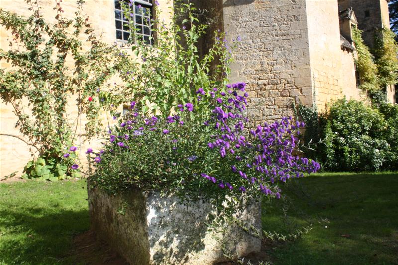 IMG_9160 (Medium).JPG