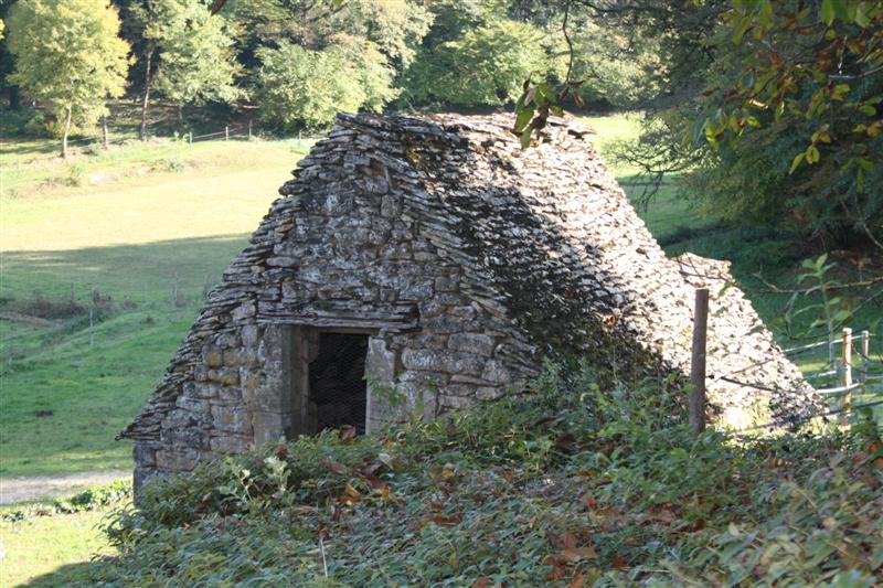 IMG_9180 (Medium).JPG