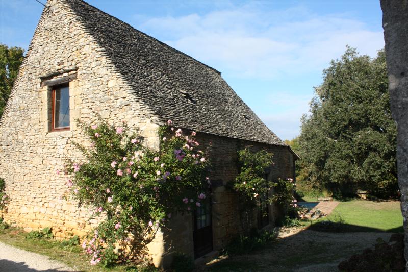 IMG_9182 (Medium).JPG