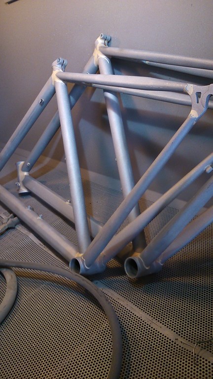 DSC_1513 (Copier).JPG