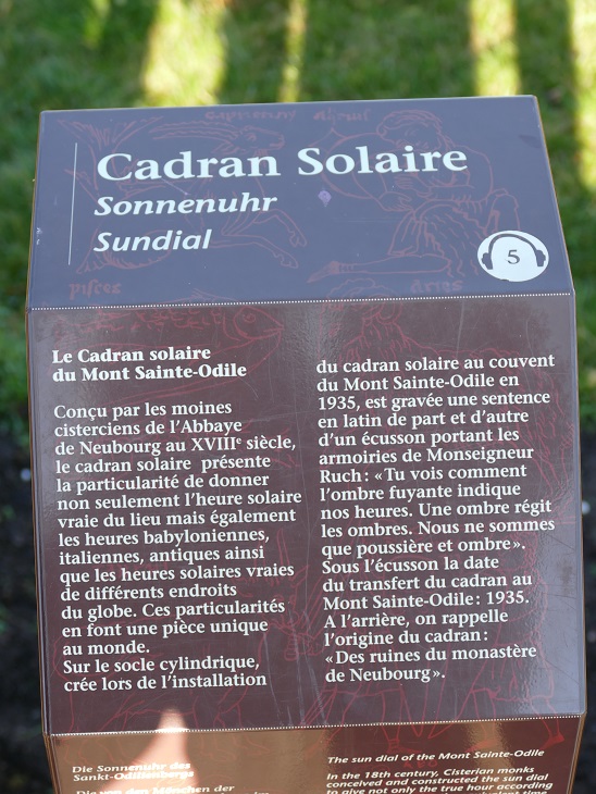 P1050905&.jpg