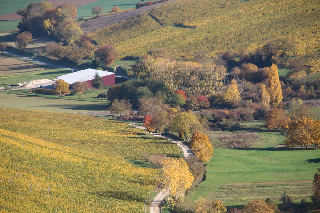 sancerre 102015 012 (Copier).JPG