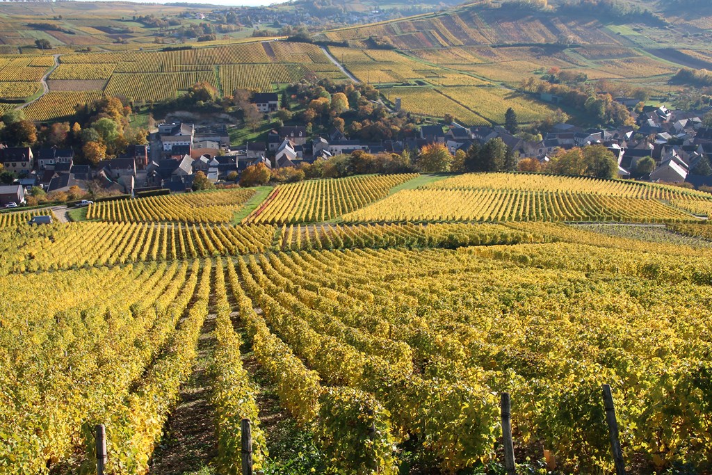 sancerre 102015 018 (Copier).JPG